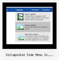 Collapsible Side Menu In Javascript Tab Site Html Sample
