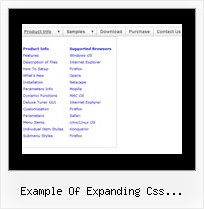 Example Of Expanding Css Navigation Internet Explorer Drag And Drop