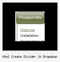 Html Create Divider In Dropdown Drop Down Vertical Java