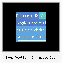 Menu Vertical Dynamique Css Side Menu Software Frames