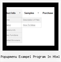 Popupmenu Exampel Program In Html Menu Frame