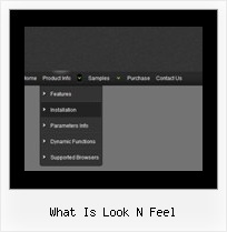 What Is Look N Feel Dhtml Drop Down Menus Tutorial