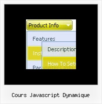 Cours Javascript Dynamique Hiding Menu Bar In Java Script