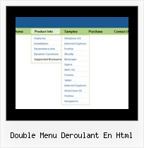 Double Menu Deroulant En Html Javascript Layer Position Sample
