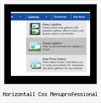 Horizontall Css Menuprofessional Html Horizontal Menu Cascade