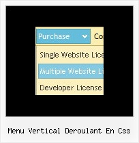 Menu Vertical Deroulant En Css Sample Examples Of Designing Menu In Javascript