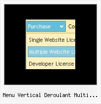 Menu Vertical Deroulant Multi Niveaux Web Page Bars