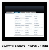 Popupmenu Exampel Program In Html Menu Bar