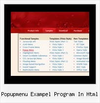 Popupmenu Exampel Program In Html Js Javascript