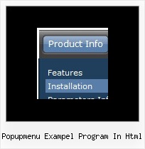 Popupmenu Exampel Program In Html Javascript Hide Menu