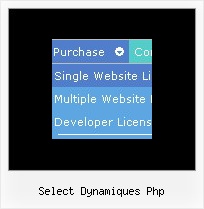 Select Dynamiques Php Web Drop Down Menus Tutorial