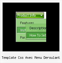 Template Css Avec Menu Deroulant Slide En Javascript