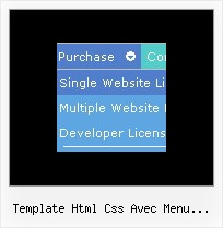 Template Html Css Avec Menu Deroulant Collapsing Arrows