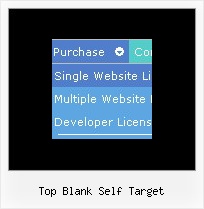 Top Blank Self Target More About What Is Dhtml