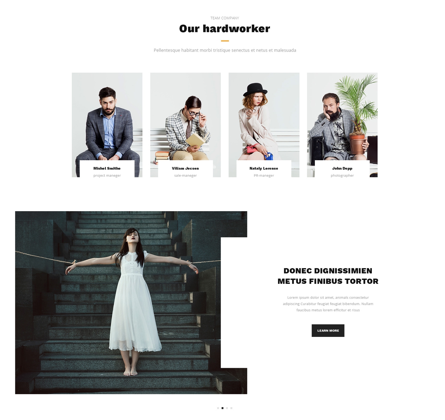 Responsive Bootstrap Design Theme