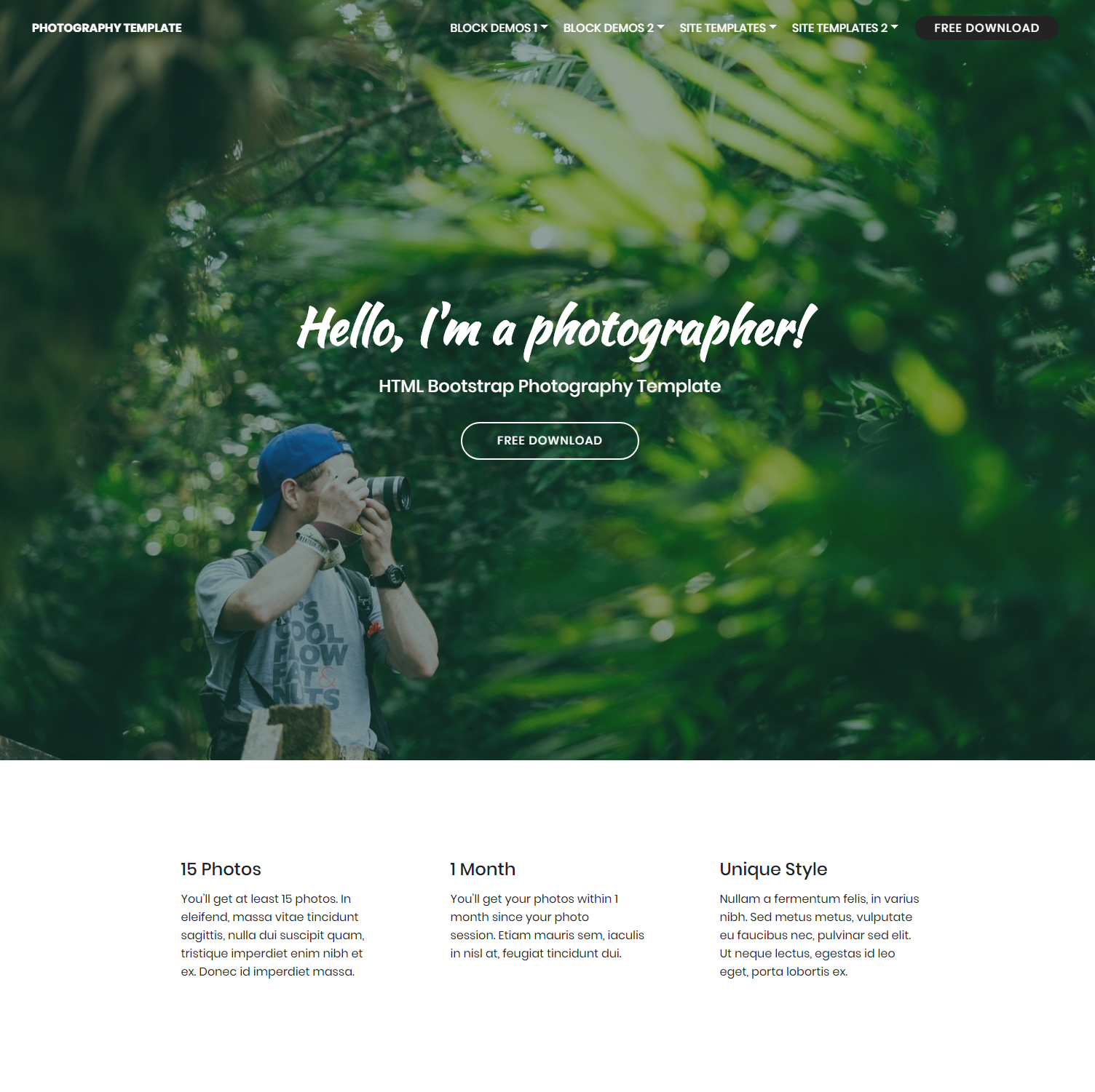 Free Bootstrap Photography Themes